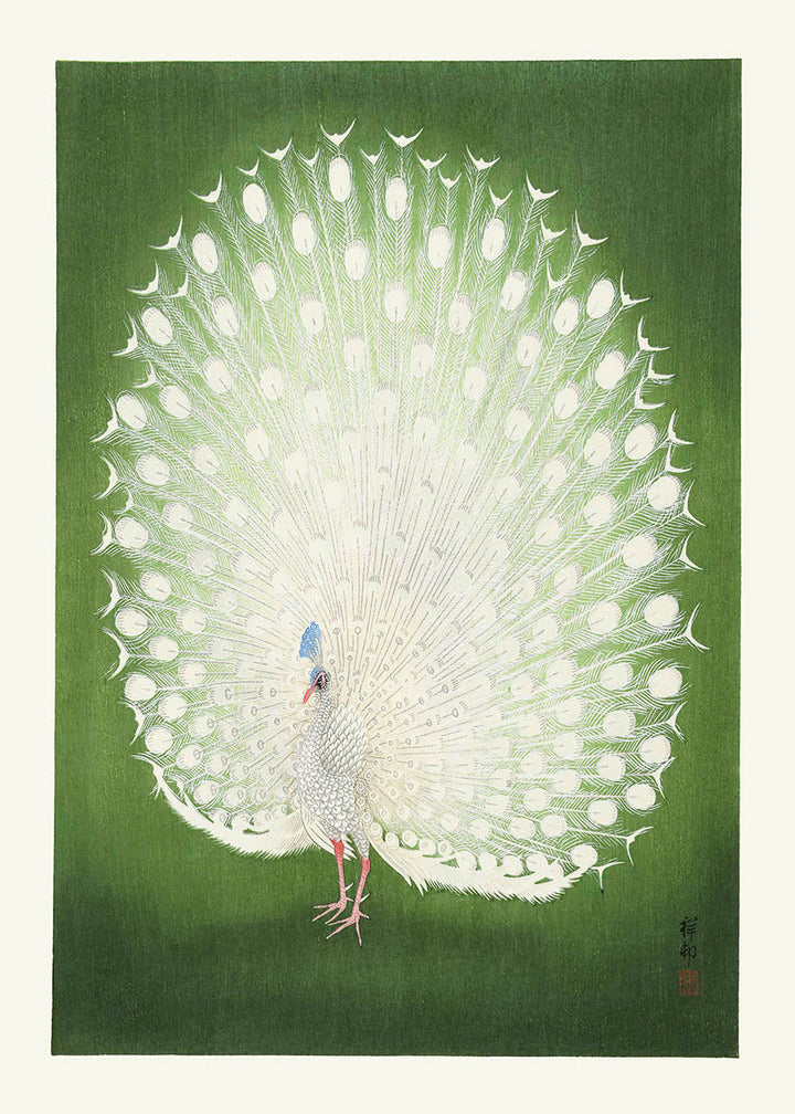 Ohara Koson - Green peacock