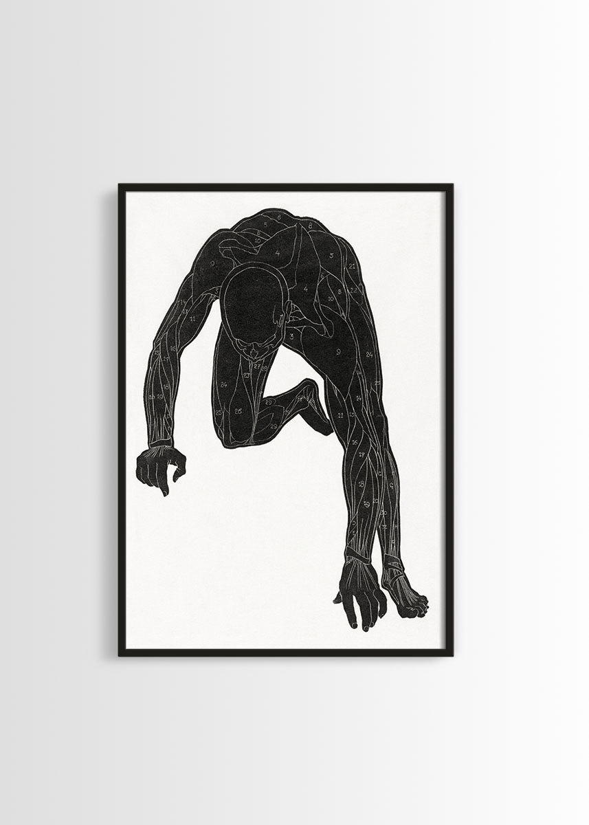 Reijer Stolk human body poster