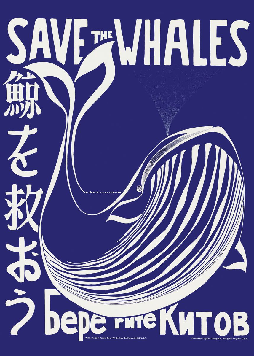 Save the whales poster
