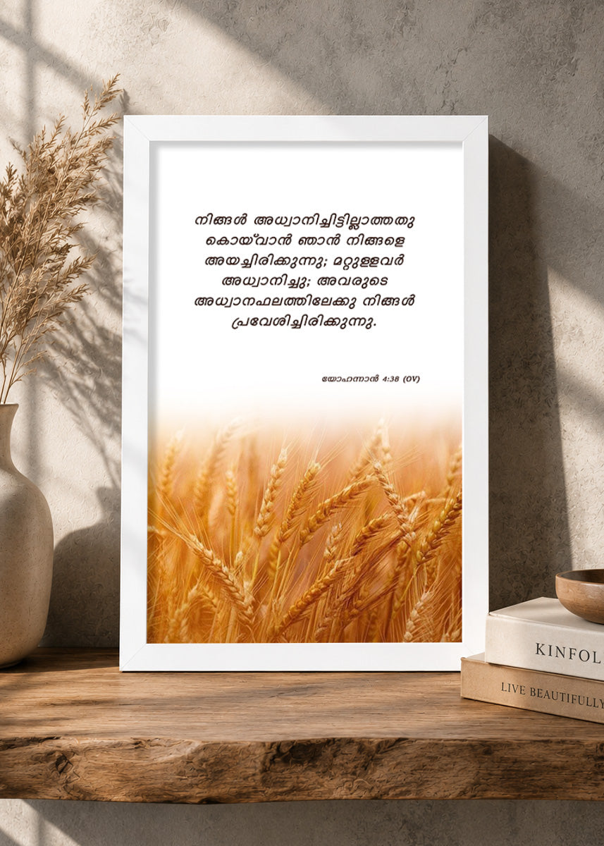 Holy Frames – You Have Entered Into Their Labors – John 4:38 — നിങ്ങൾ അധ്വാനിച്ചിട്ടില്ലാത്തതു കൊയ്‍വാൻ ഞാൻ നിങ്ങളെ അയച്ചിരിക്കുന്നു; മറ്റുള്ളവർ അധ്വാനിച്ചു; അവരുടെ അധ്വാനഫലത്തിലേക്കു നിങ്ങൾ പ്രവേശിച്ചിരിക്കുന്നു., white Christian wall frame