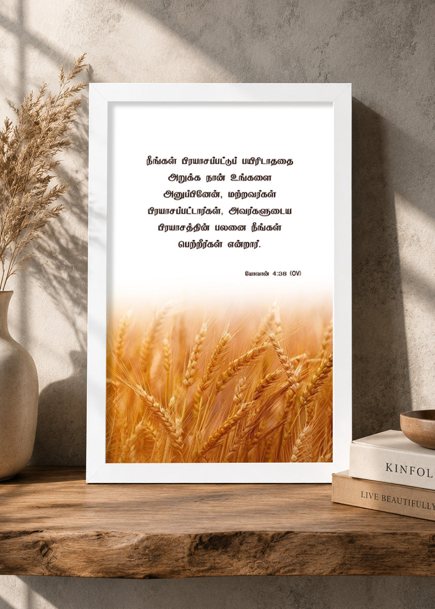Holy Frames – You Have Entered Into Their Labors – John 4:38 — நீங்கள் பிரயாசப்பட்டுப் பயிரிடாததை அறுக்க நான் உங்களை அனுப்பினேன், மற்றவர்கள் பிரயாசப்பட்டார்கள், அவர்களுடைய பிரயாசத்தின் பலனை நீங்கள் பெற்றீர்கள்., white Christian wall frame
